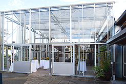 SPRING HAS SPRUNG BAT MITZVAH